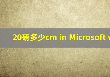 20磅多少cm in Microsoft word